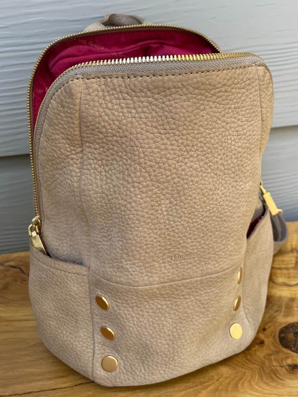 Hammitt Pebbled Leather Backpack with Pink Interior